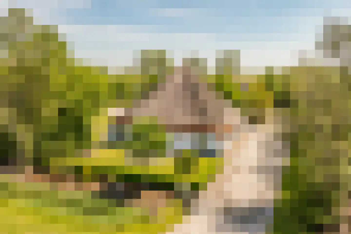 Hoofdweg 130 De Cocksdorp