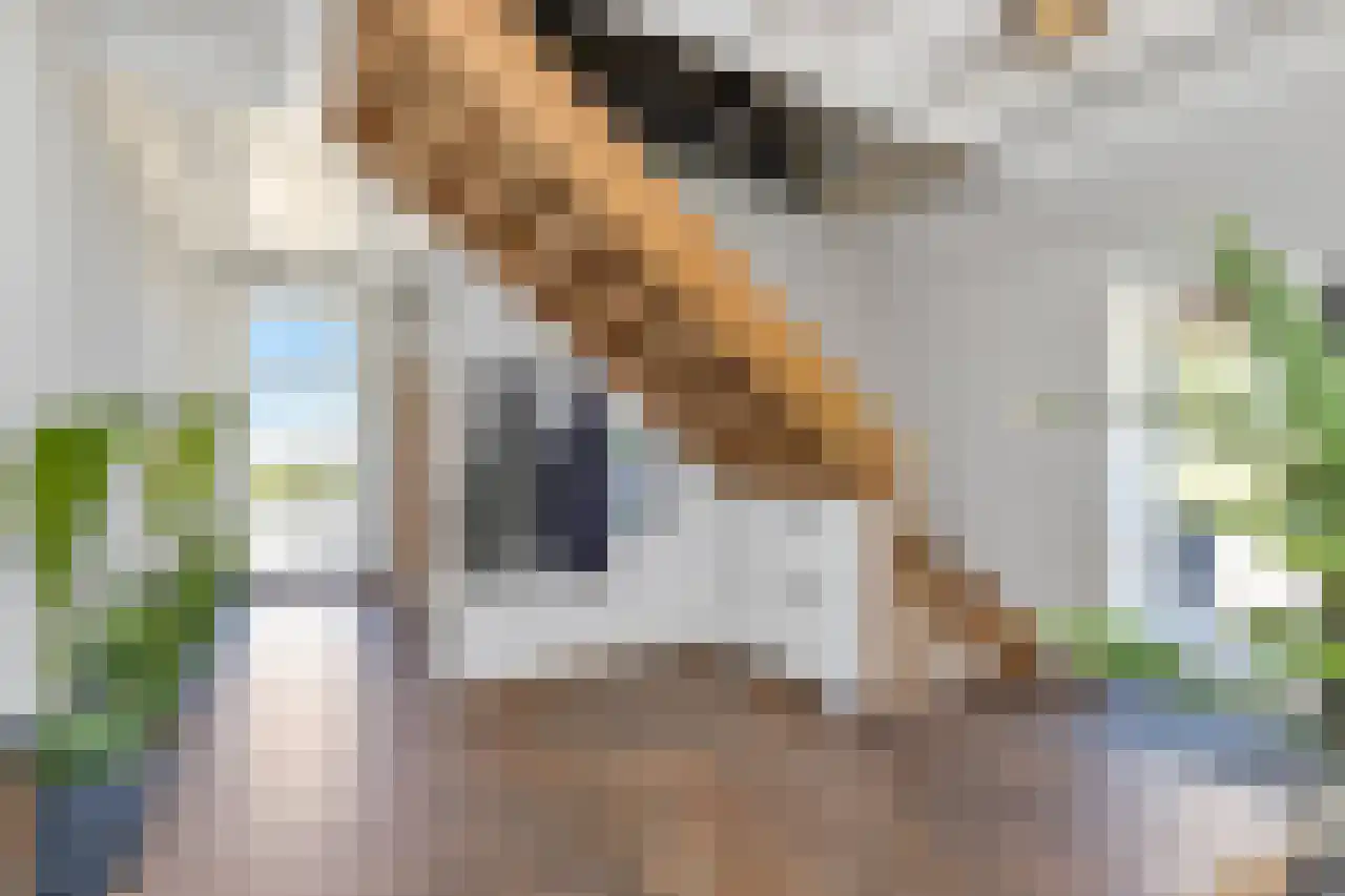 Hoofdweg 130 De Cocksdorp thumbnail 13