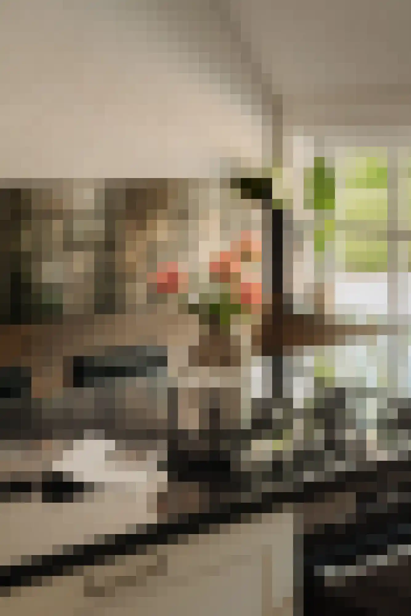 Hoofdweg 130 De Cocksdorp thumbnail 14