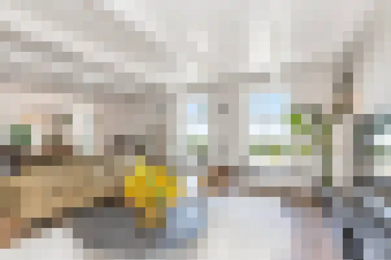 Hoofdweg 130 De Cocksdorp thumbnail 19