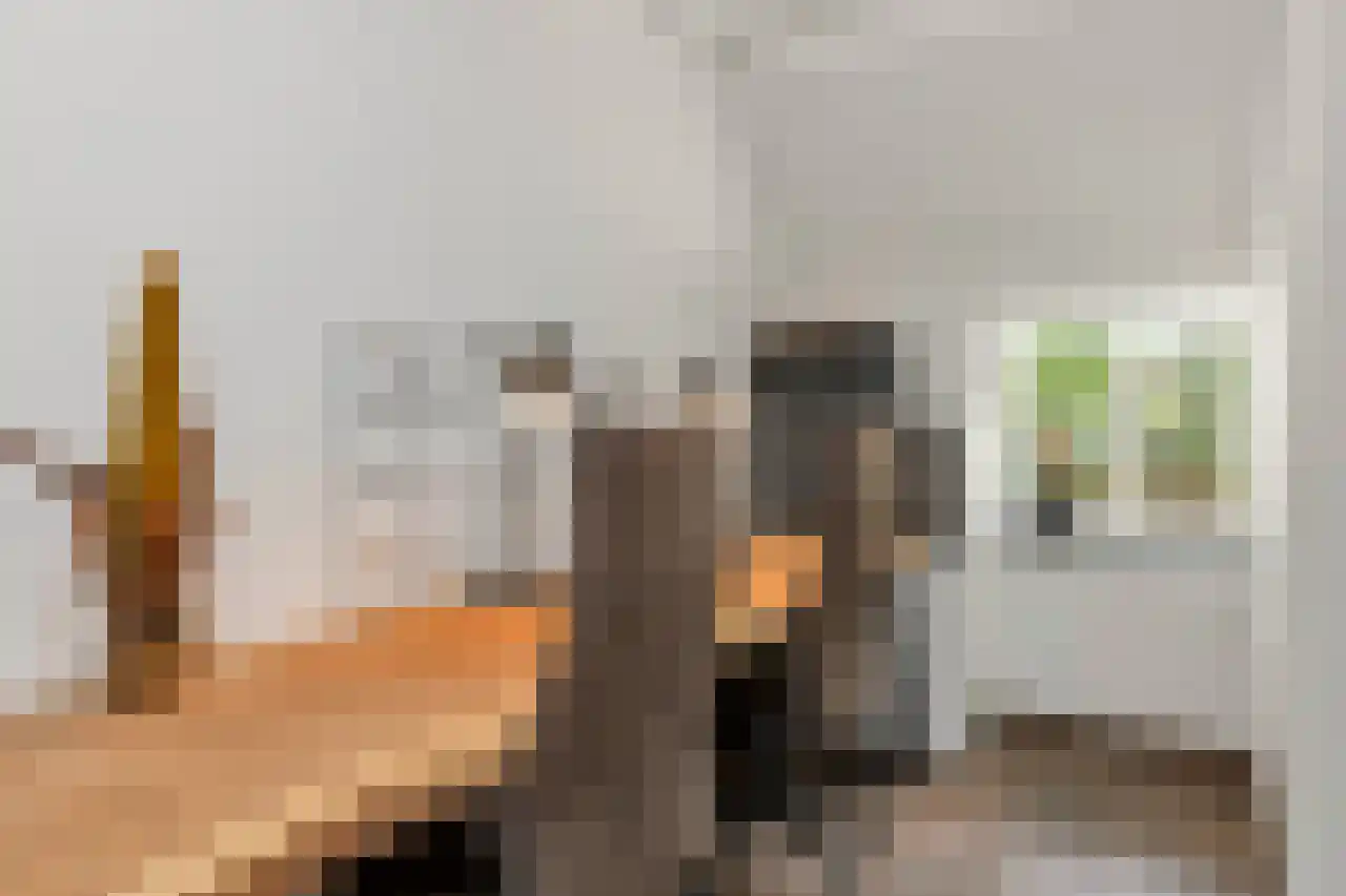 Hoofdweg 130 De Cocksdorp thumbnail 26