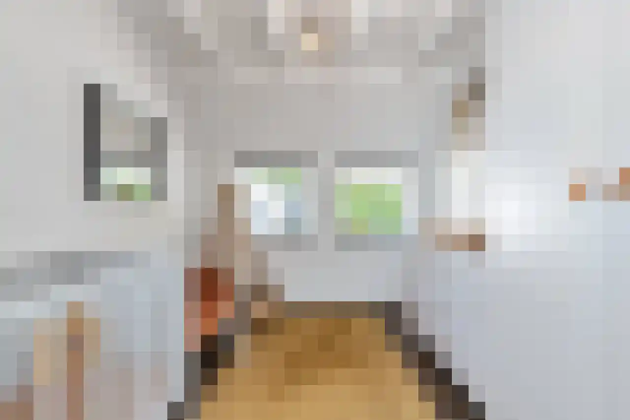 Hoofdweg 130 De Cocksdorp thumbnail 30