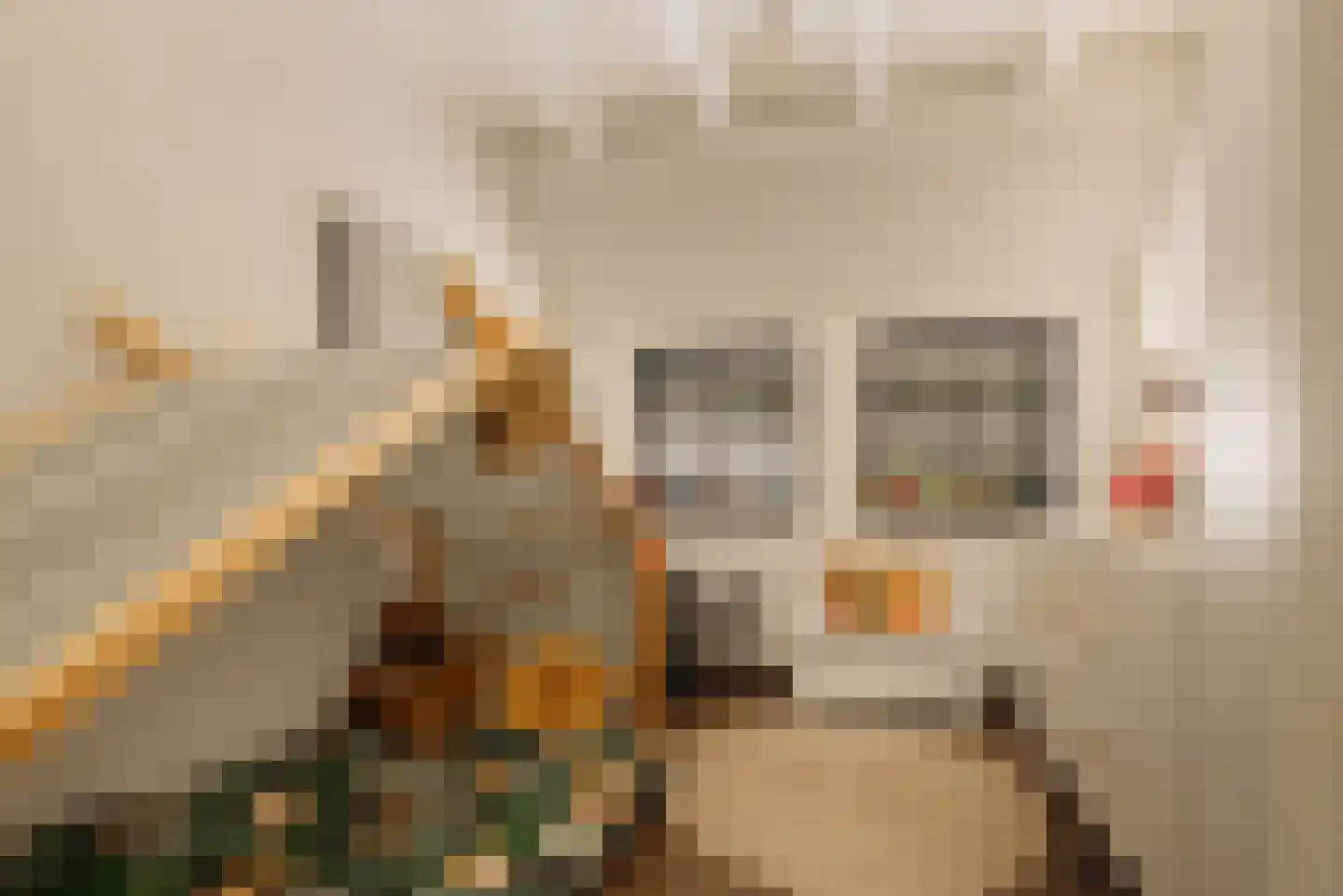 Hoofdweg 130 De Cocksdorp thumbnail 31