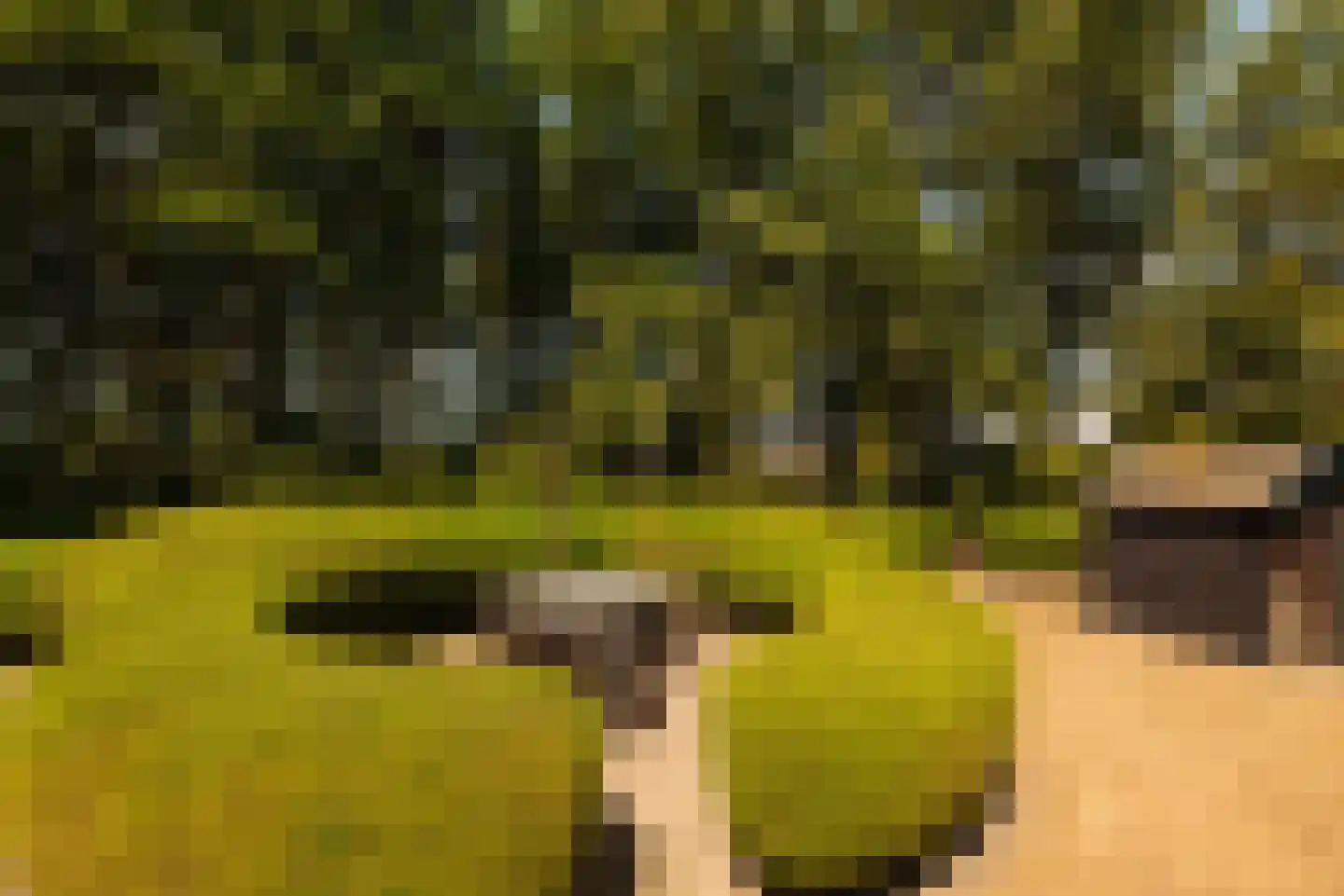 Hoofdweg 130 De Cocksdorp thumbnail 33