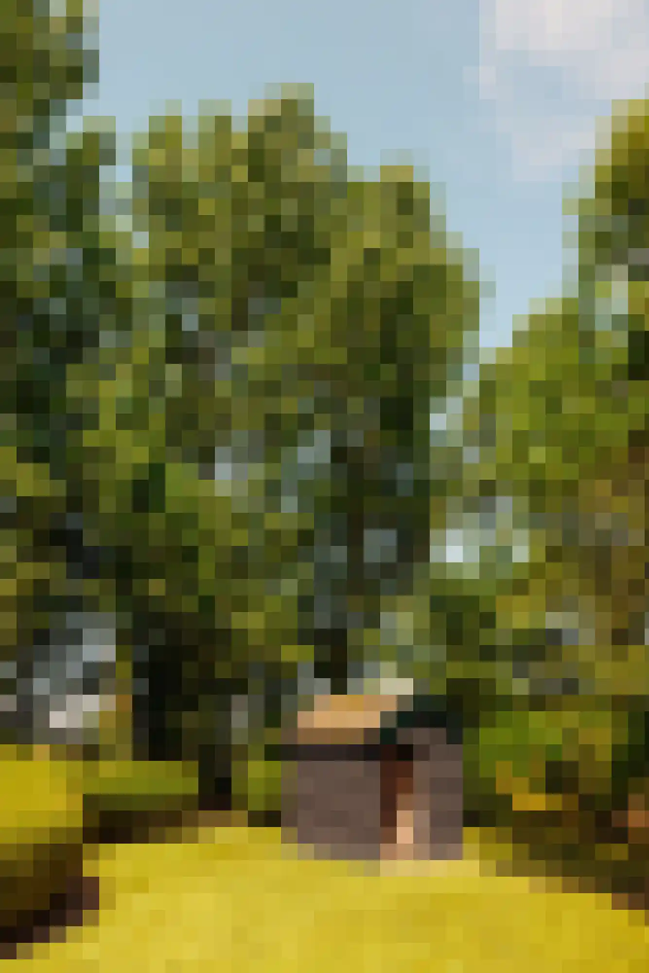 Hoofdweg 130 De Cocksdorp thumbnail 34