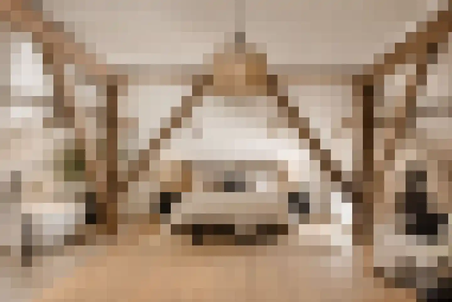 Hoofdweg 130 De Cocksdorp thumbnail 35