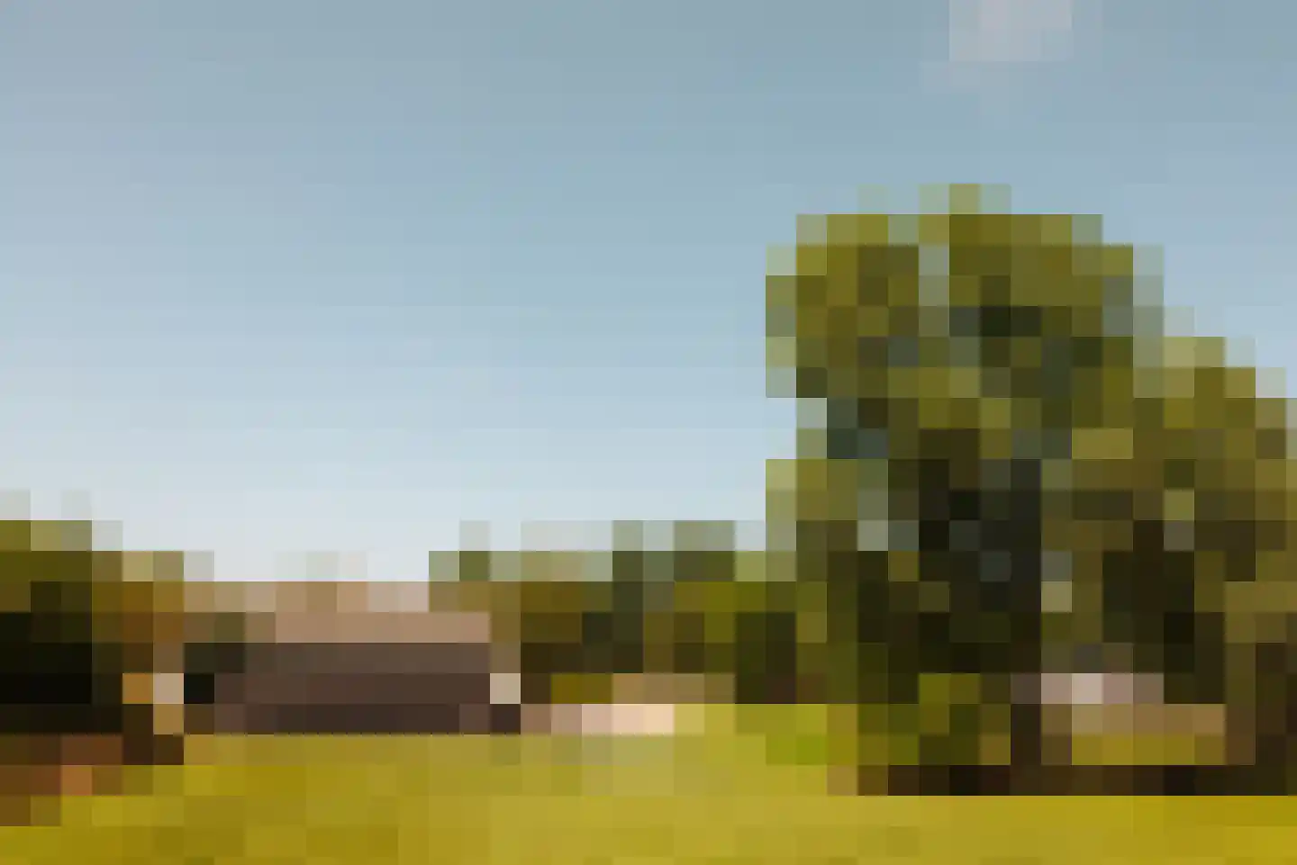 Hoofdweg 130 De Cocksdorp thumbnail 35