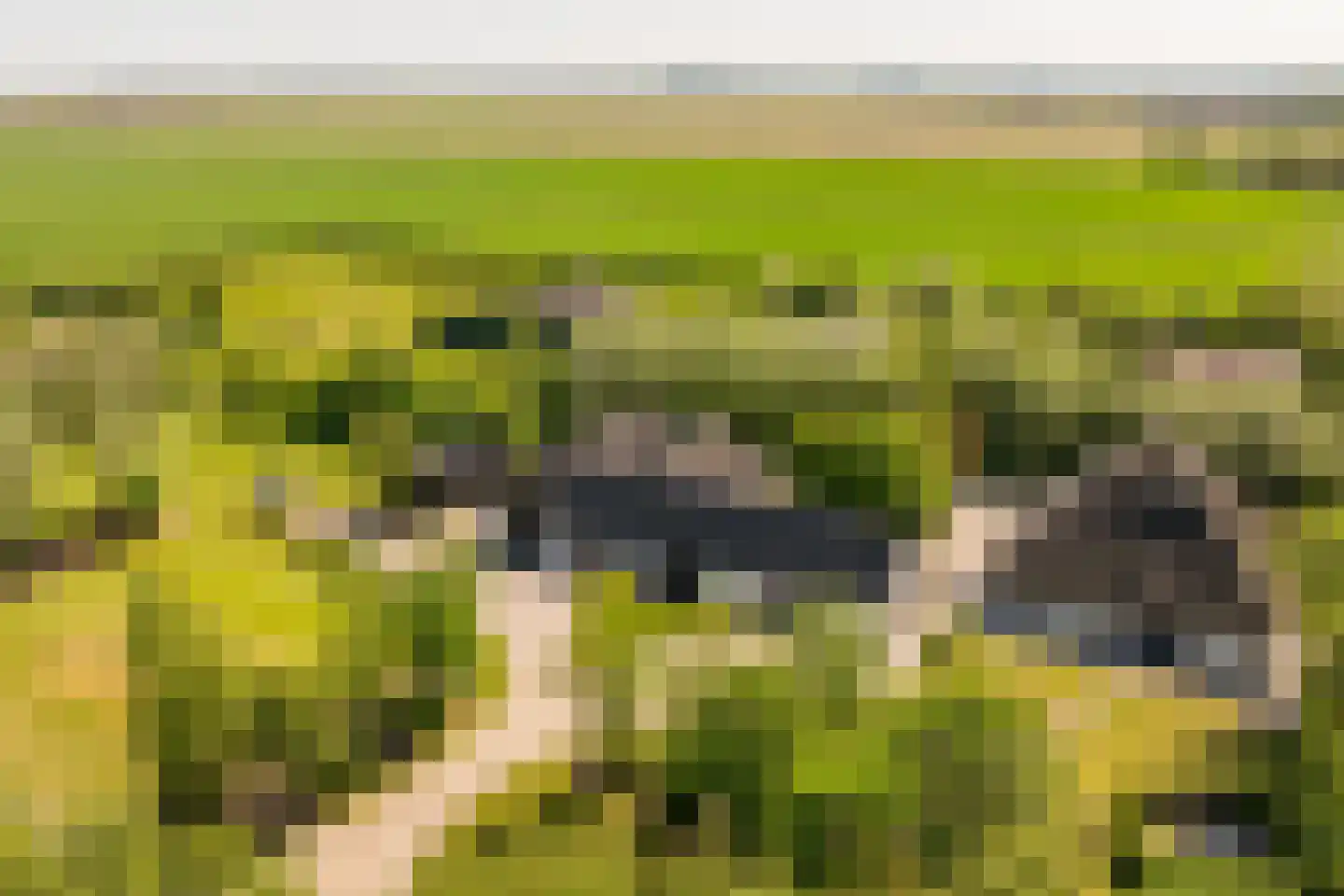Hoofdweg 130 De Cocksdorp thumbnail 38