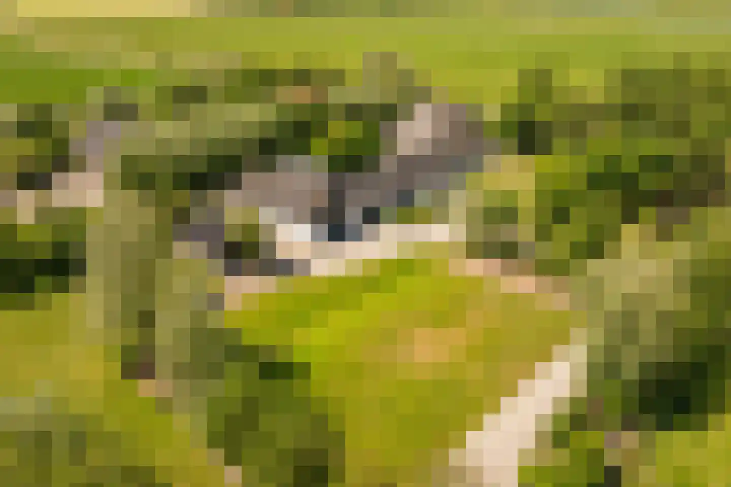 Hoofdweg 130 De Cocksdorp thumbnail 39