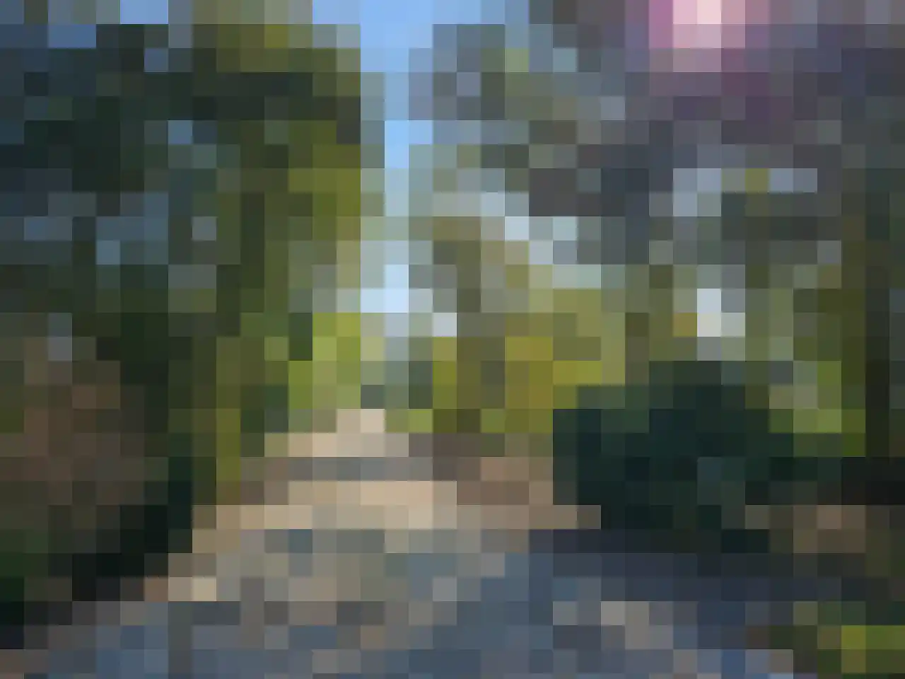 Hoofdweg 130 De Cocksdorp thumbnail 4