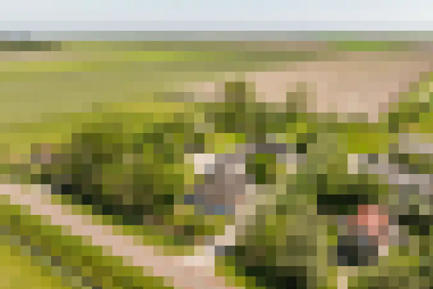 Hoofdweg 130 De Cocksdorp thumbnail 4