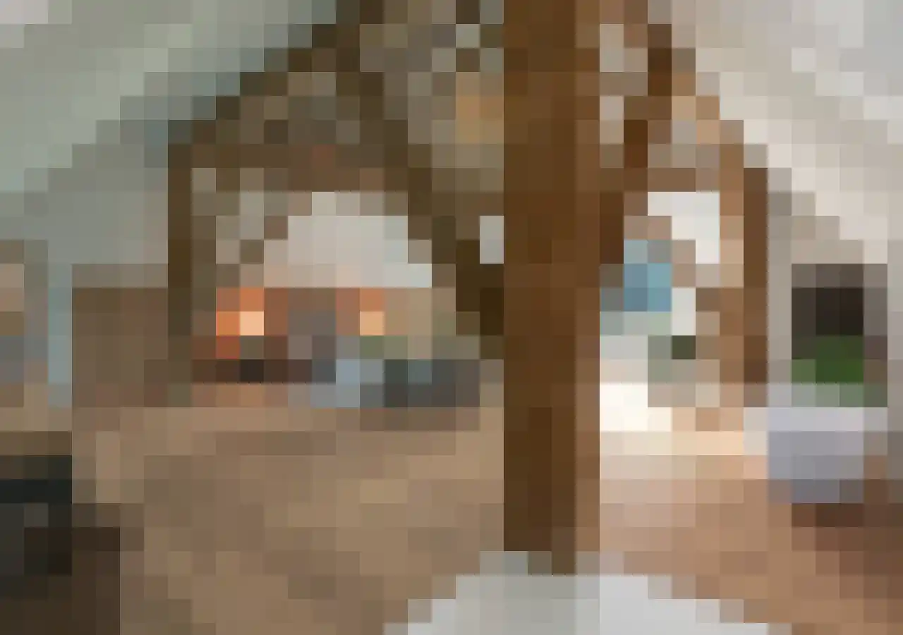Hoofdweg 130 De Cocksdorp thumbnail 41