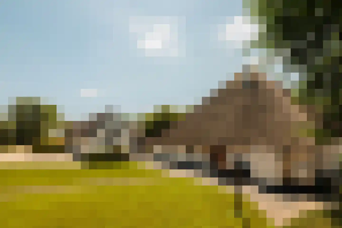 Hoofdweg 130 De Cocksdorp thumbnail 41