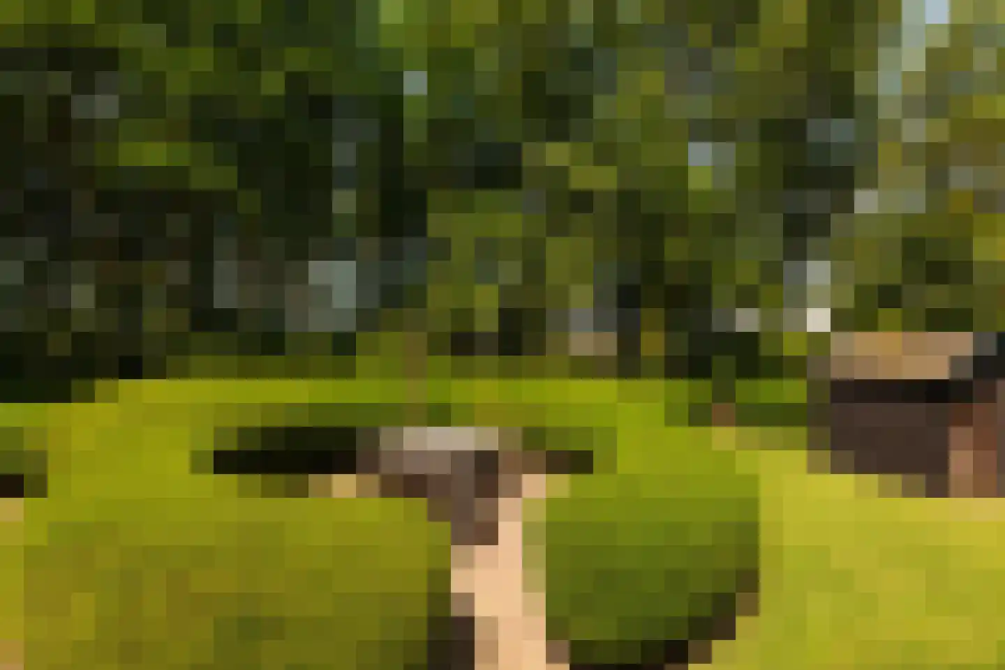Hoofdweg 130 De Cocksdorp thumbnail 43