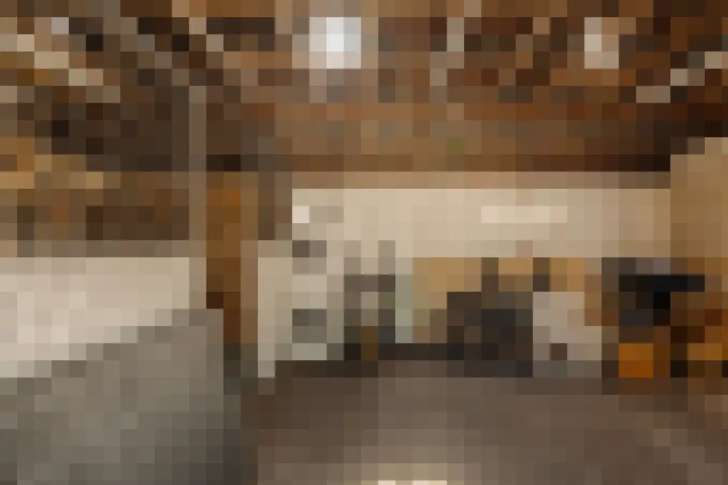 Hoofdweg 130 De Cocksdorp thumbnail 43