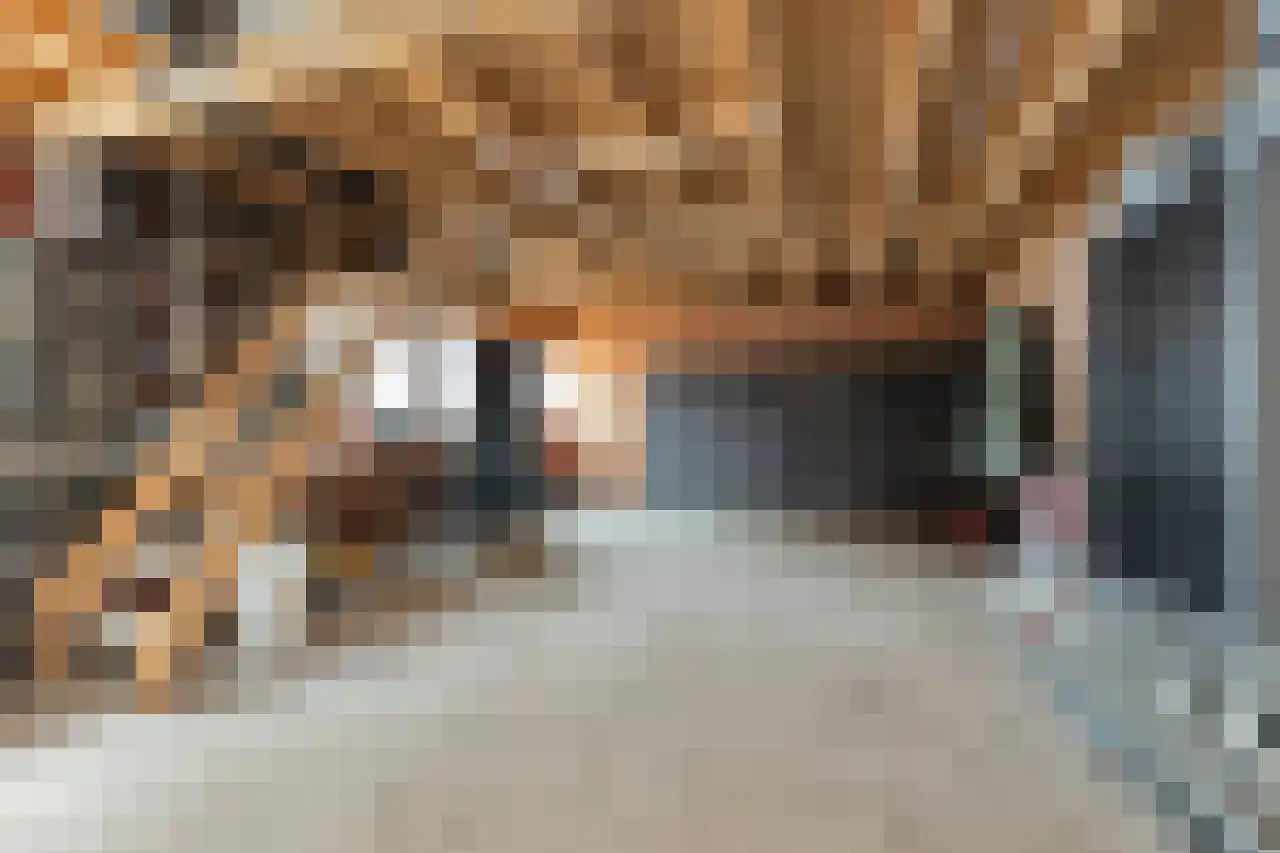 Hoofdweg 130 De Cocksdorp thumbnail 45