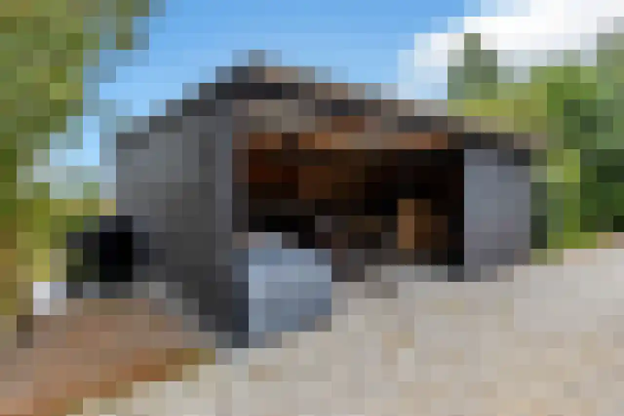 Hoofdweg 130 De Cocksdorp thumbnail 47