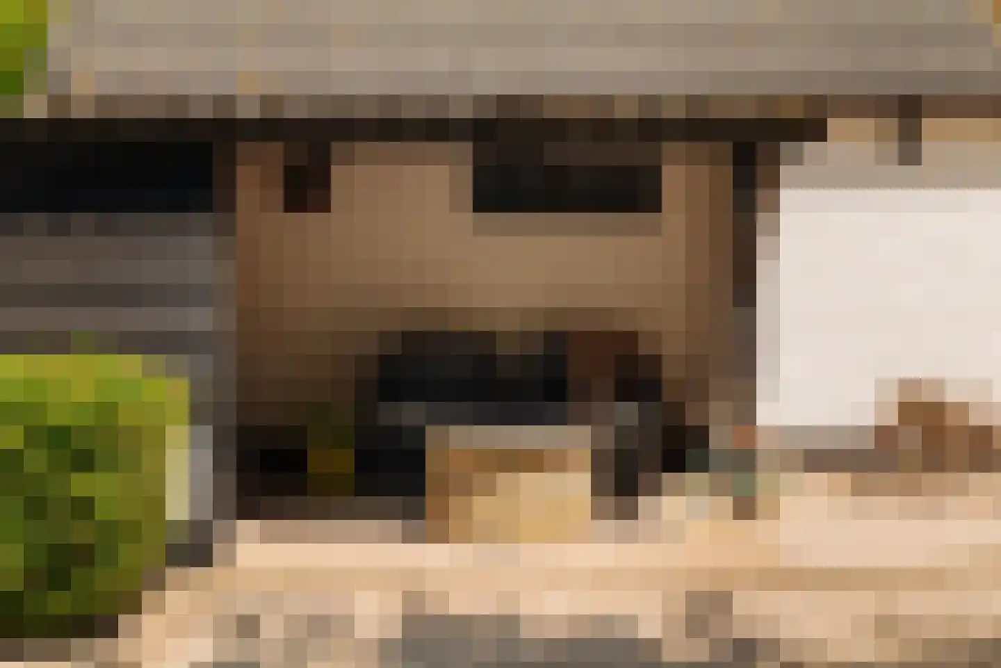 Hoofdweg 130 De Cocksdorp thumbnail 54