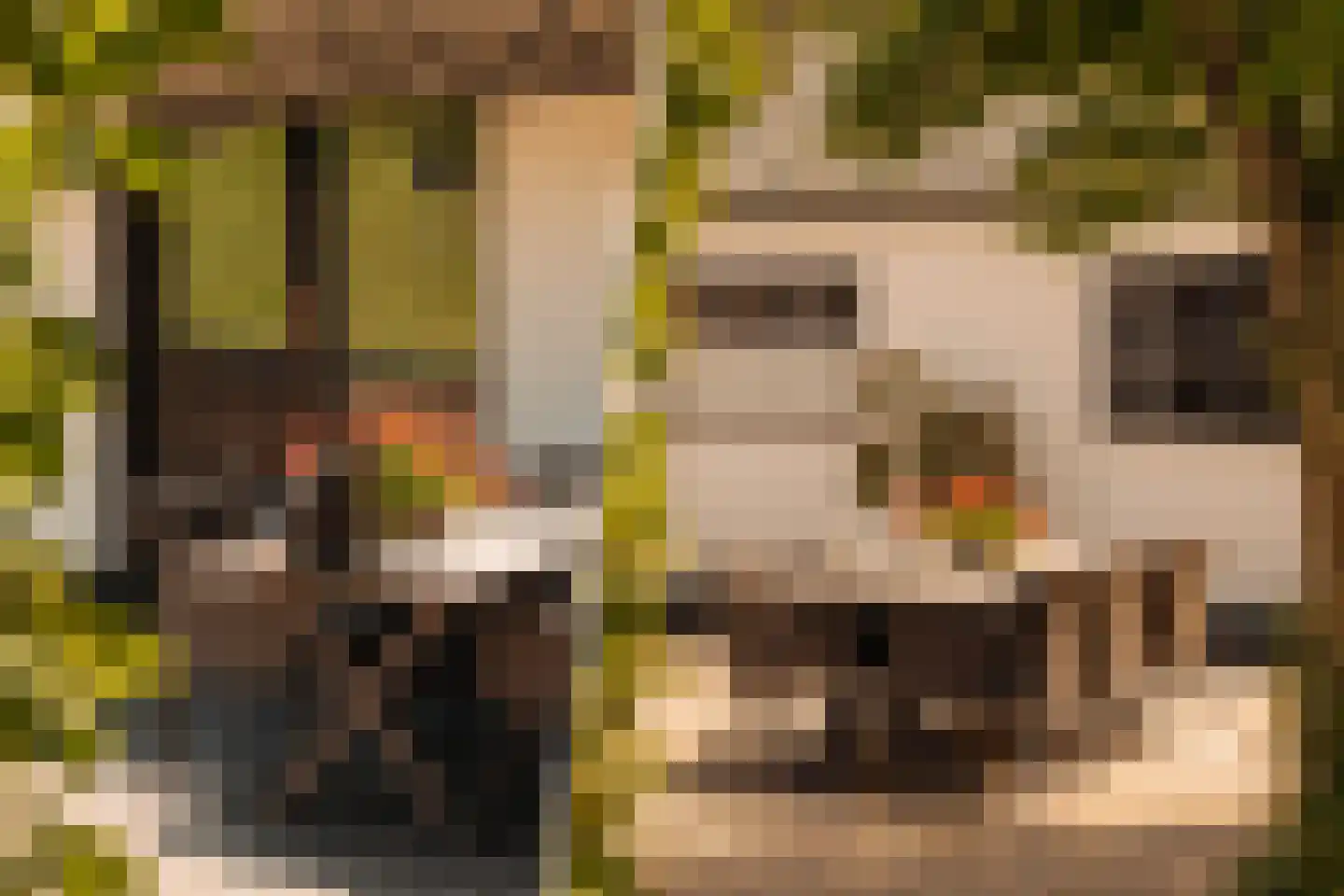 Hoofdweg 130 De Cocksdorp thumbnail 55