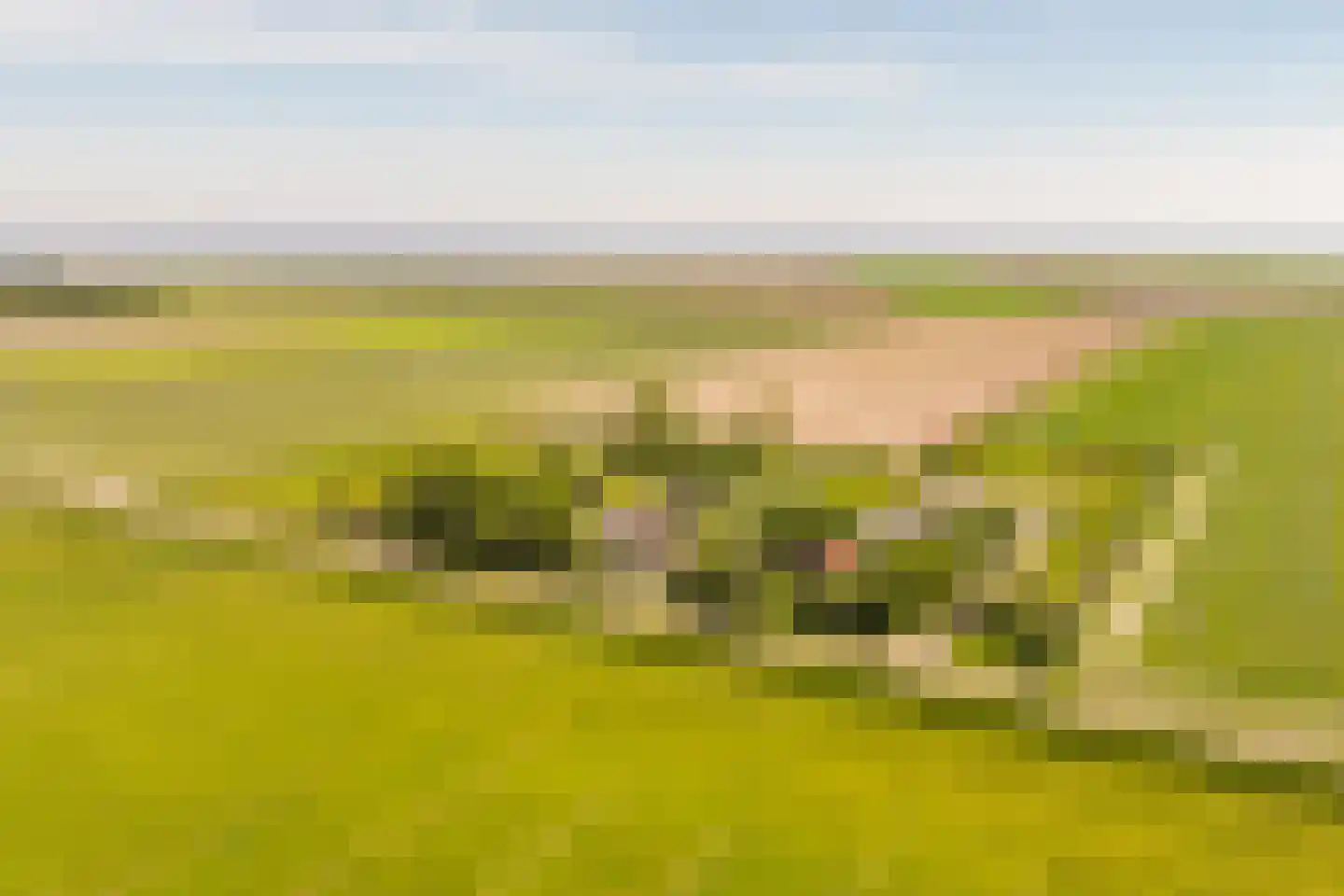 Hoofdweg 130 De Cocksdorp thumbnail 56