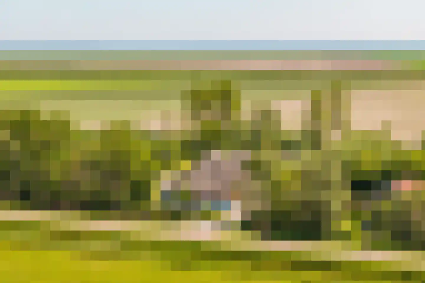Hoofdweg 130 De Cocksdorp thumbnail 58