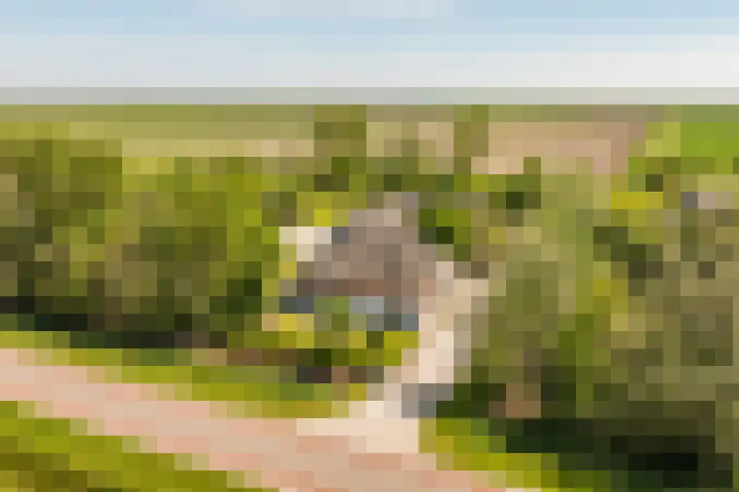 Hoofdweg 130 De Cocksdorp thumbnail 59