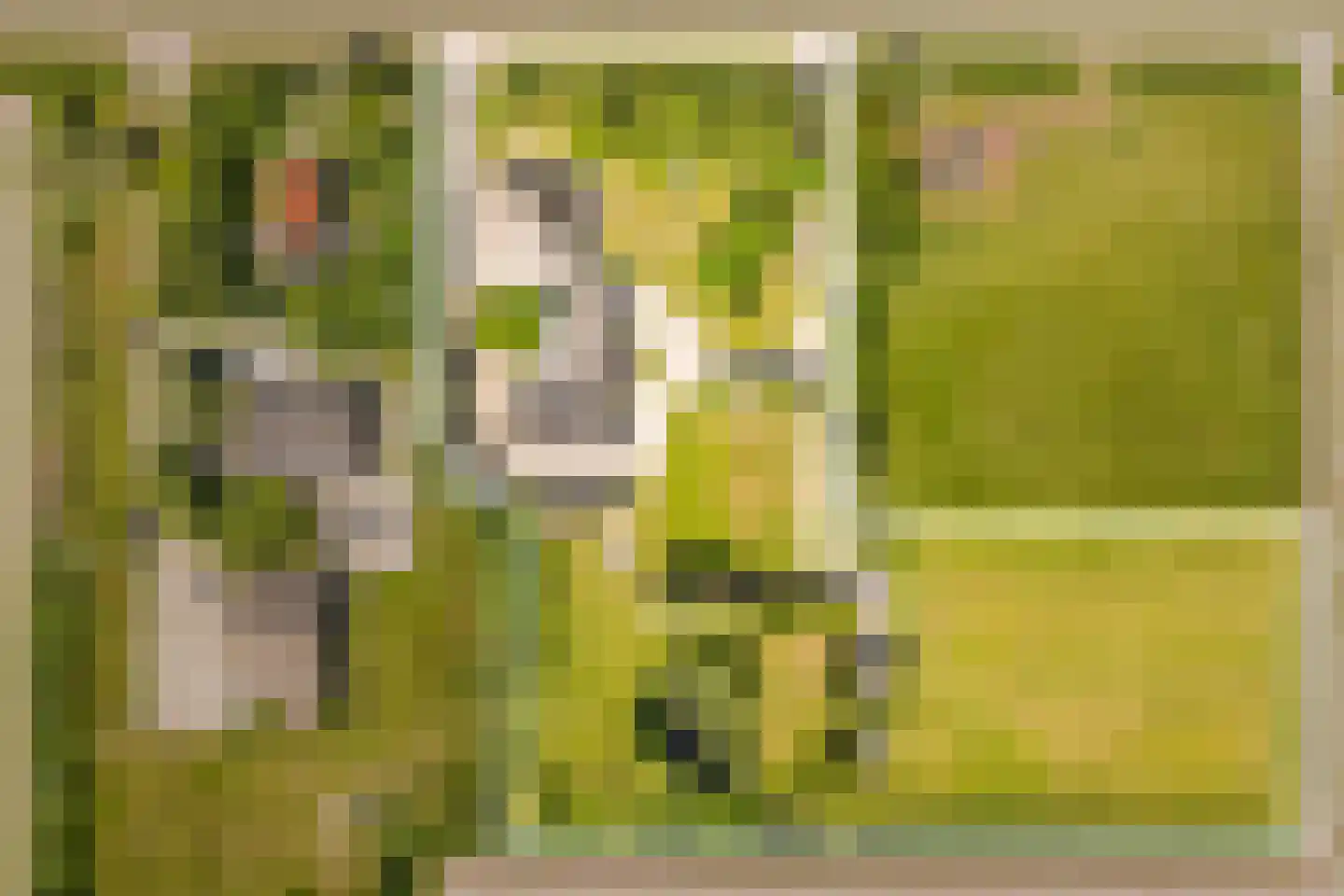 Hoofdweg 130 De Cocksdorp thumbnail 6