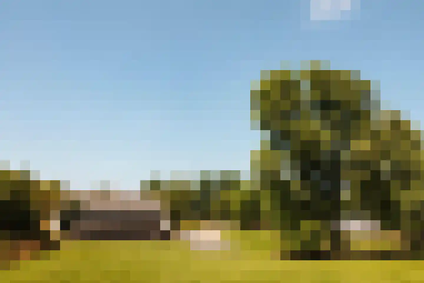 Hoofdweg 130 De Cocksdorp thumbnail 60