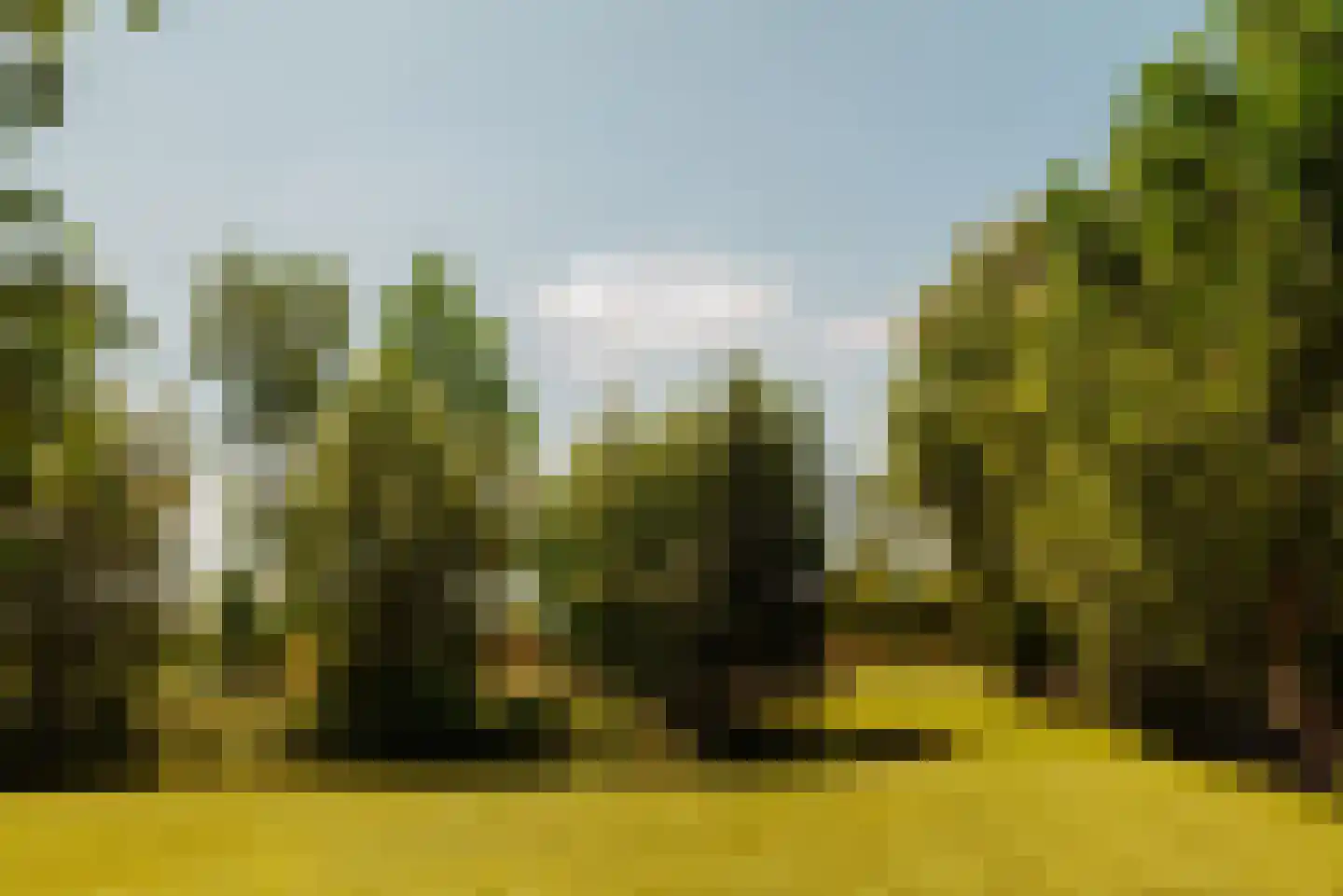 Hoofdweg 130 De Cocksdorp thumbnail 62