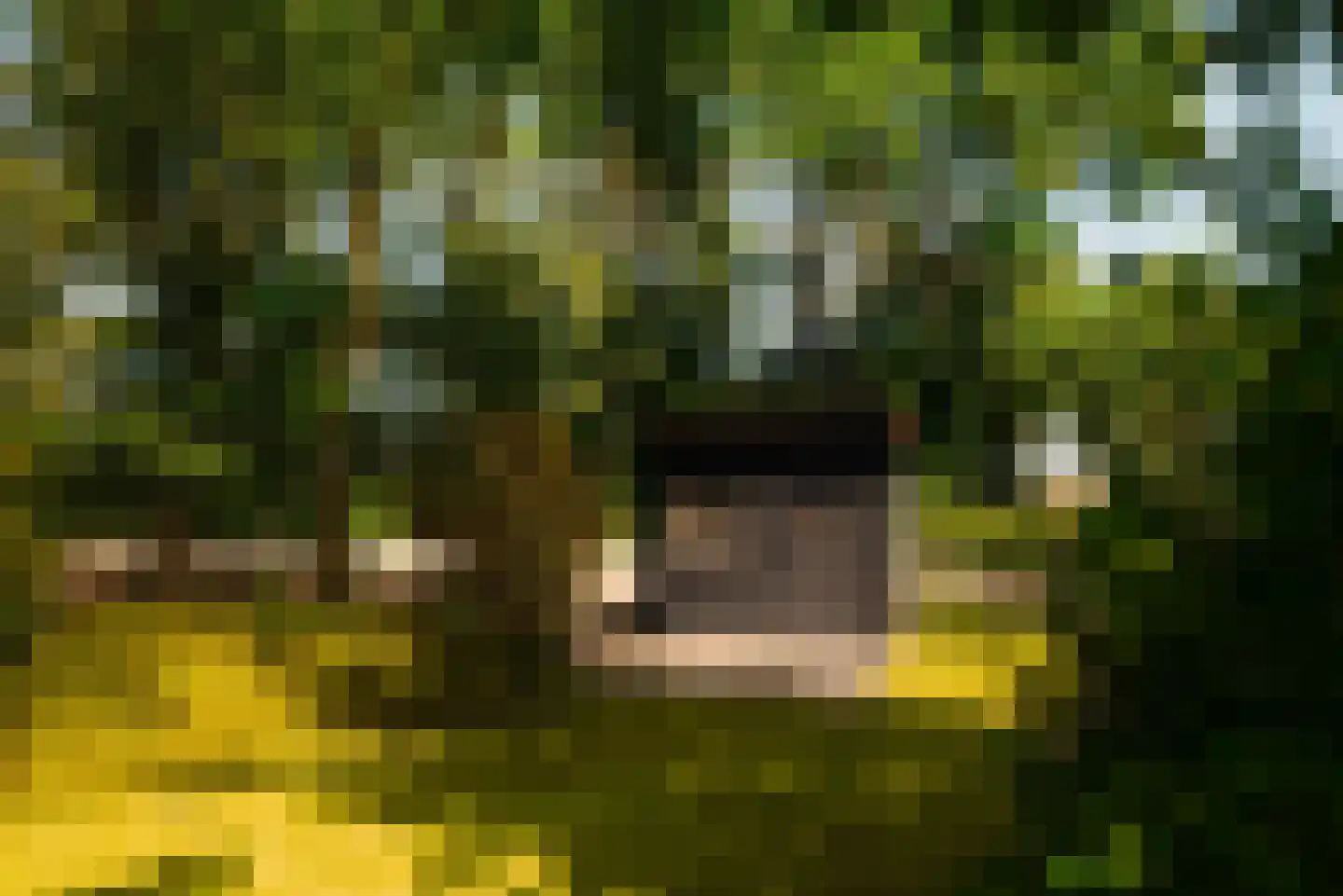 Hoofdweg 130 De Cocksdorp thumbnail 63