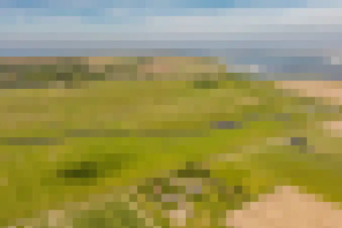 Hoofdweg 130 De Cocksdorp thumbnail 64