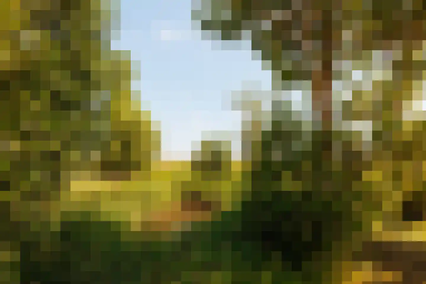 Hoofdweg 130 De Cocksdorp thumbnail 65