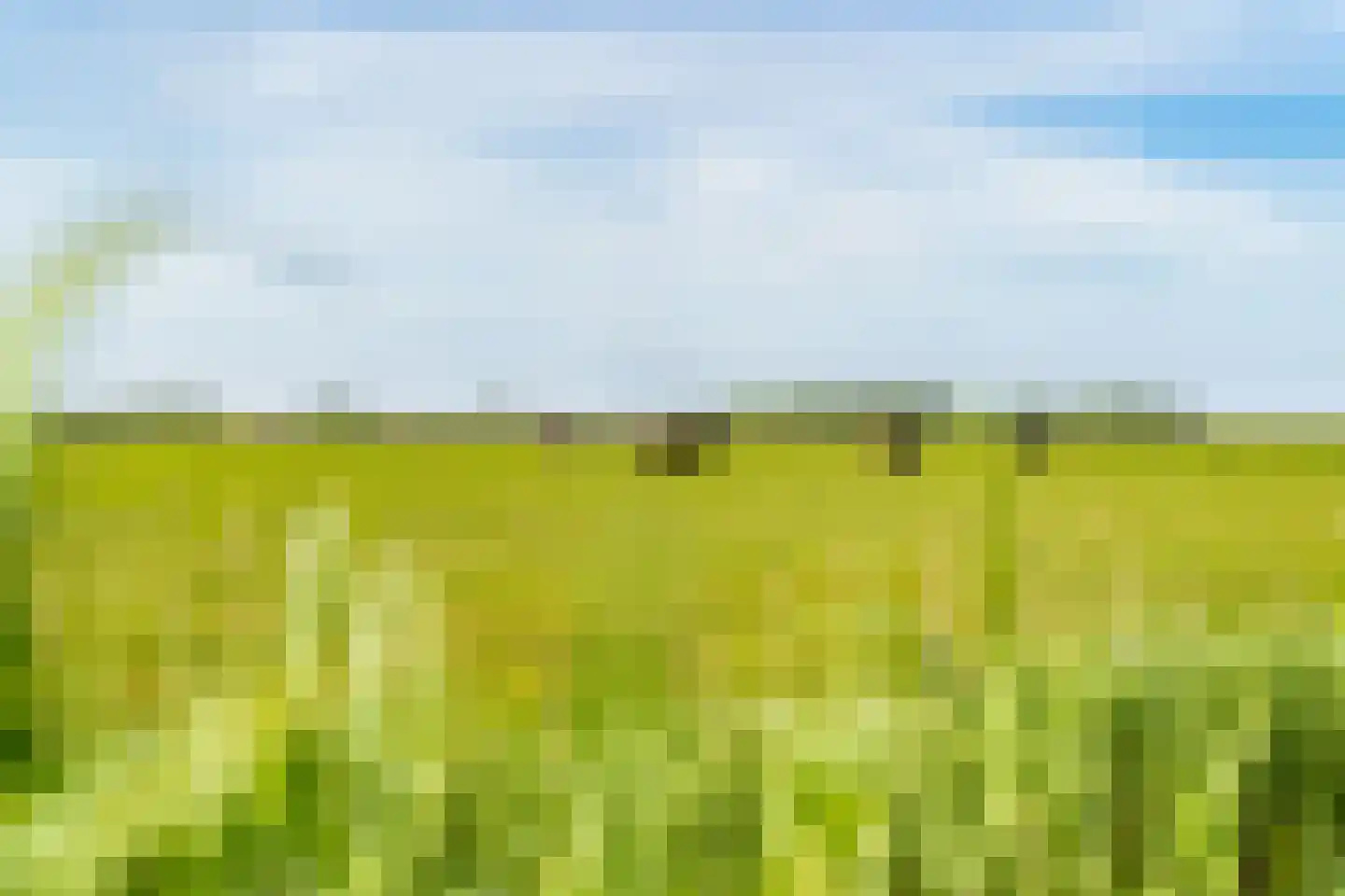 Hoofdweg 130 De Cocksdorp thumbnail 66