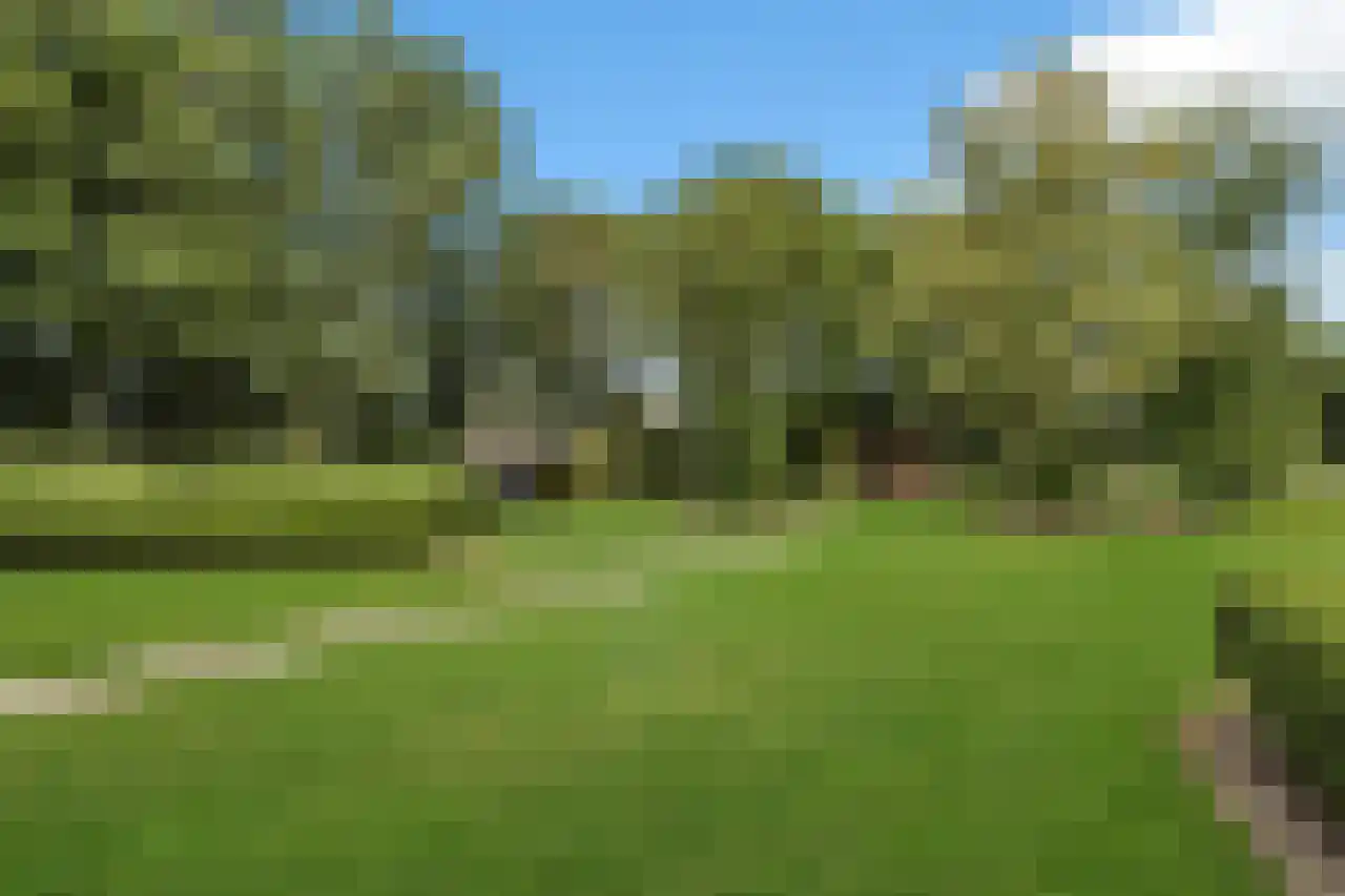 Hoofdweg 130 De Cocksdorp thumbnail 7