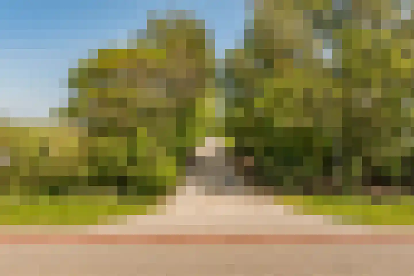 Hoofdweg 130 De Cocksdorp thumbnail 7