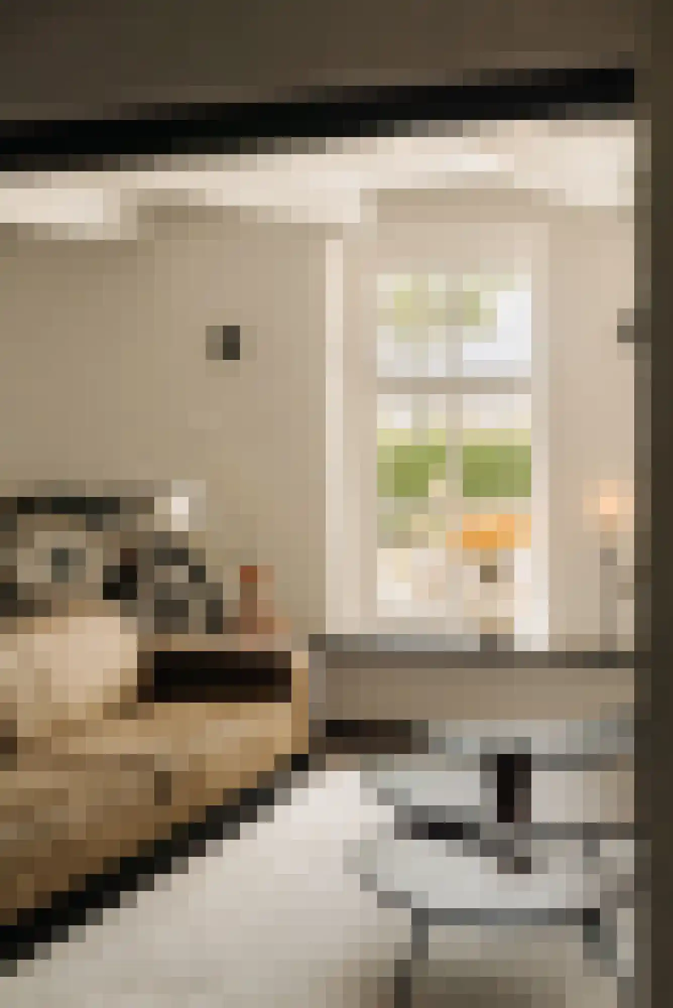Hoofdweg 130 De Cocksdorp thumbnail 7