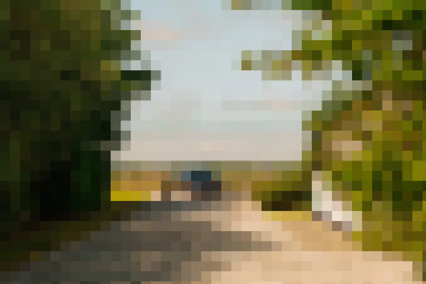 Hoofdweg 130 De Cocksdorp thumbnail 8