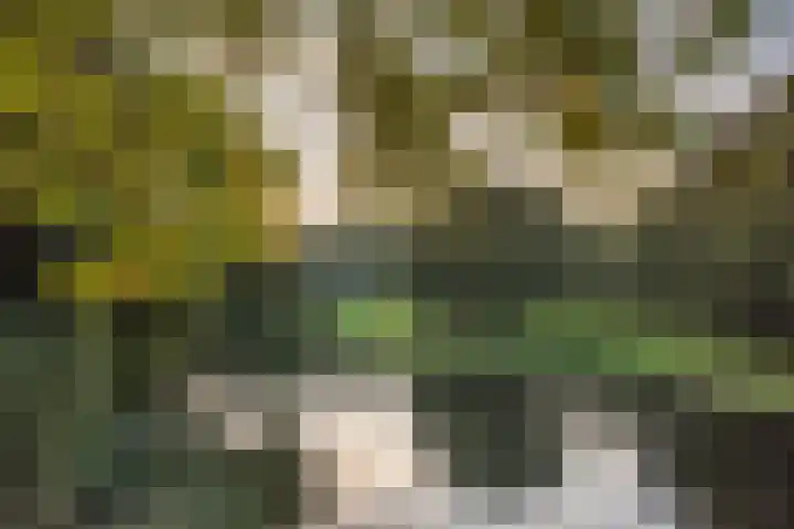 Hoofdweg 132 2 Amsterdam thumbnail 17
