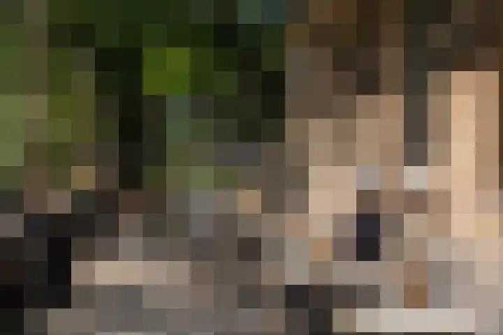 Hoofdweg 132 2 Amsterdam thumbnail 20