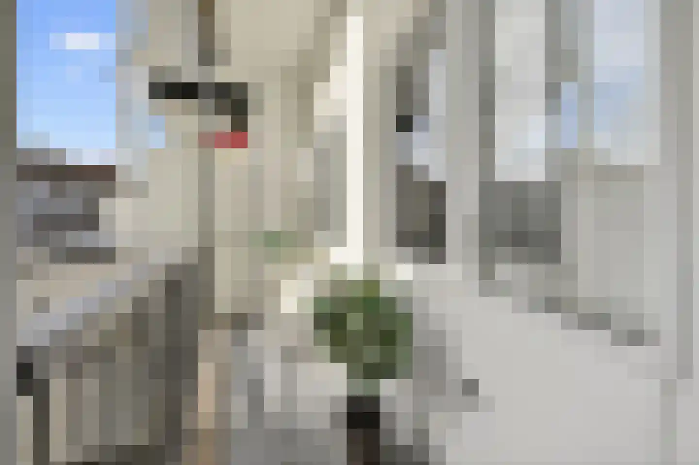 Hoofdweg 132 3 Amsterdam thumbnail 6