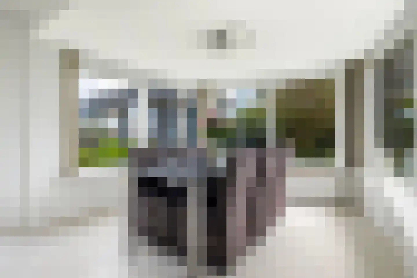 Hoofdweg 132 Burdaard thumbnail 11