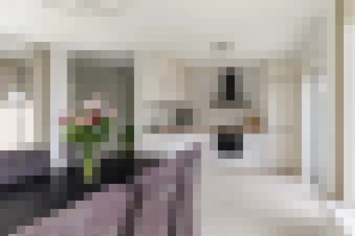 Hoofdweg 132 Burdaard thumbnail 14