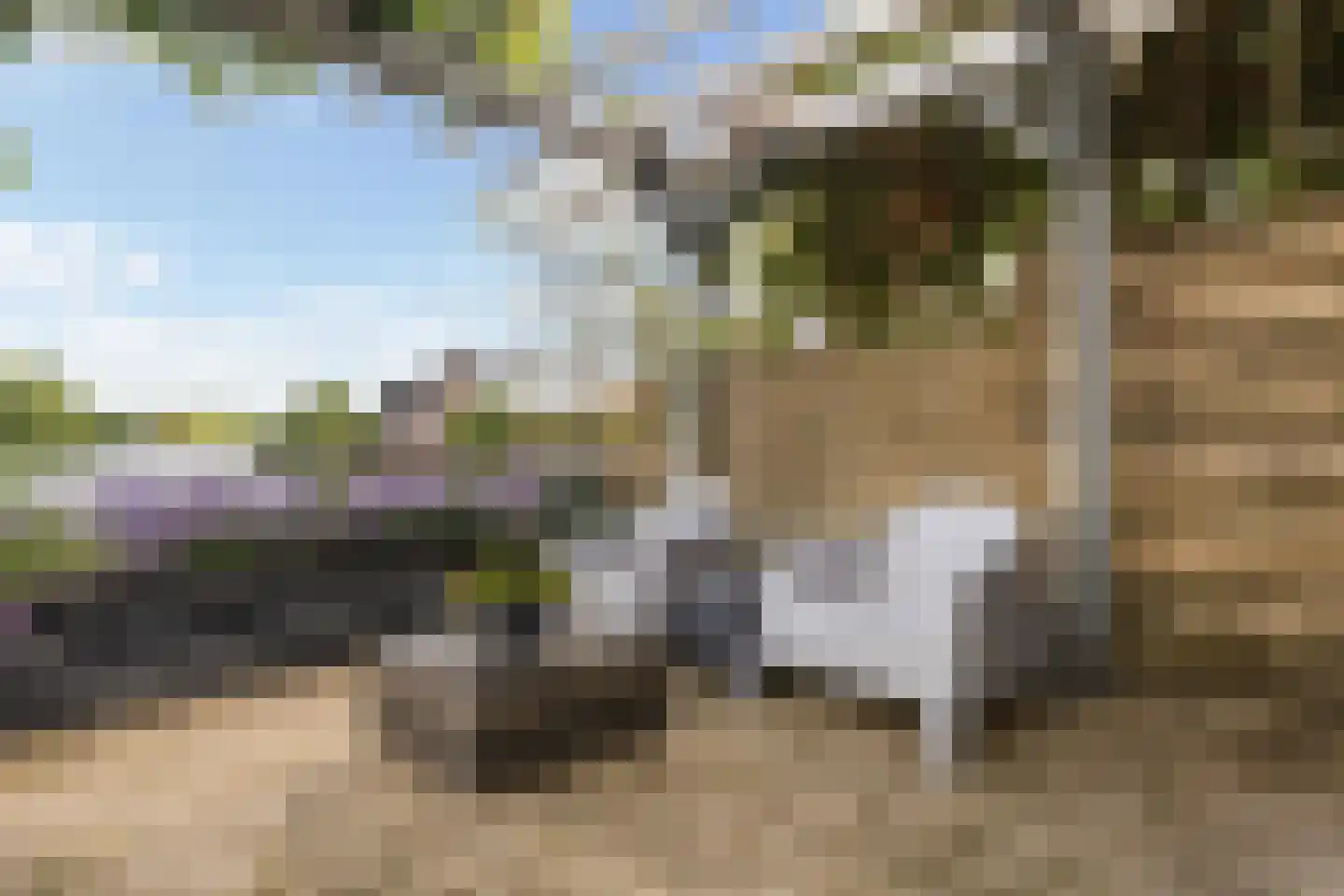 Hoofdweg 132 Burdaard thumbnail 24