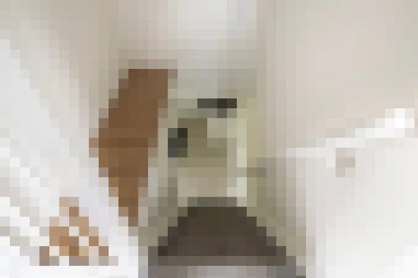 Hoofdweg 132 Burdaard thumbnail 31