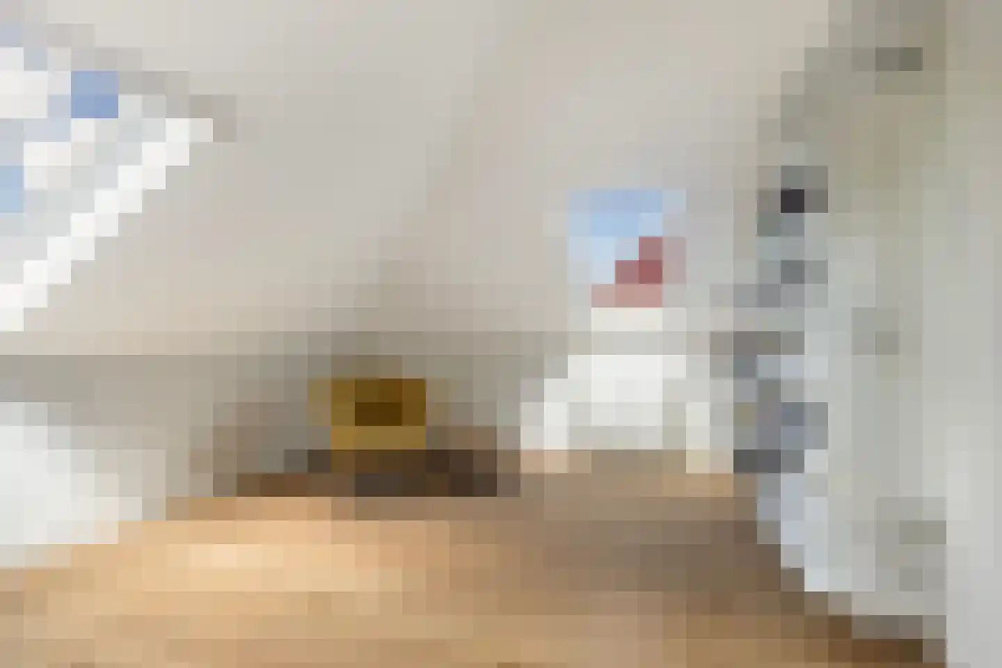 Hoofdweg 132 Burdaard thumbnail 34