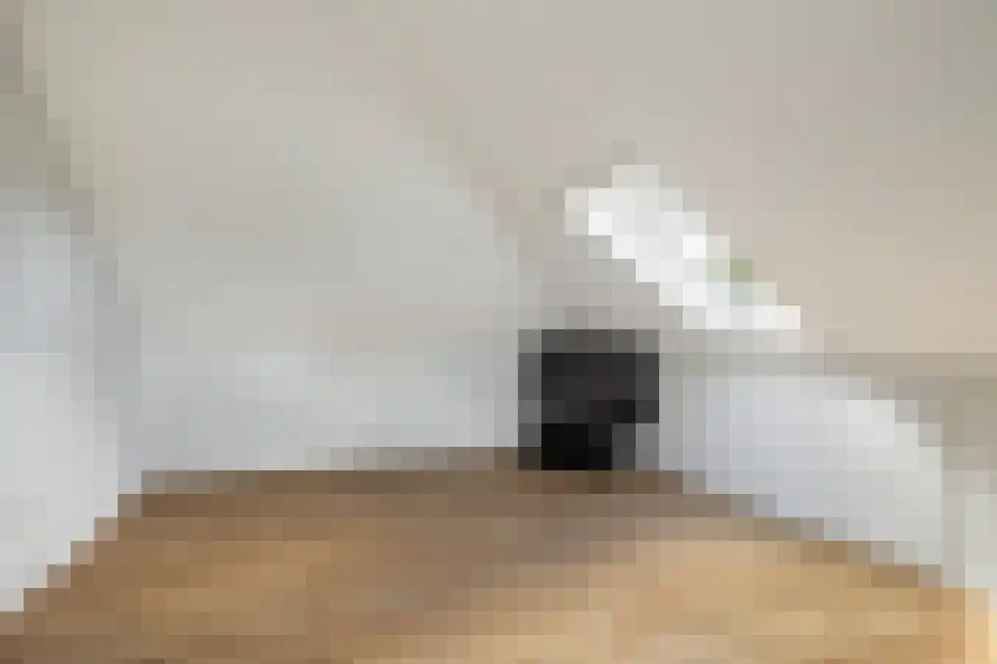 Hoofdweg 132 Burdaard thumbnail 35