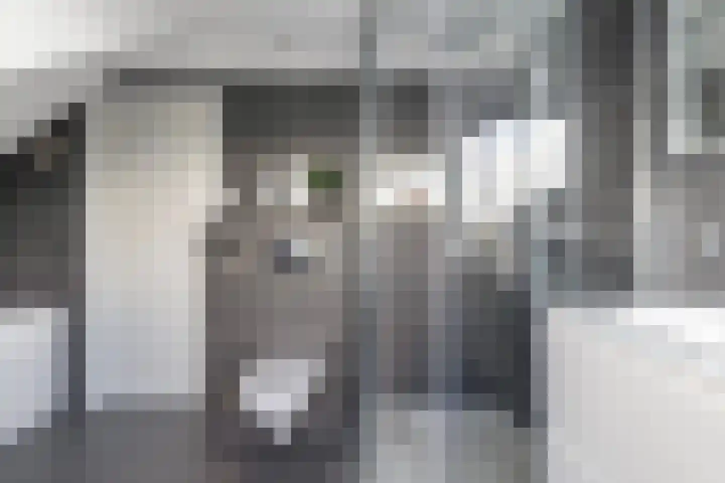 Hoofdweg 132 Burdaard thumbnail 39