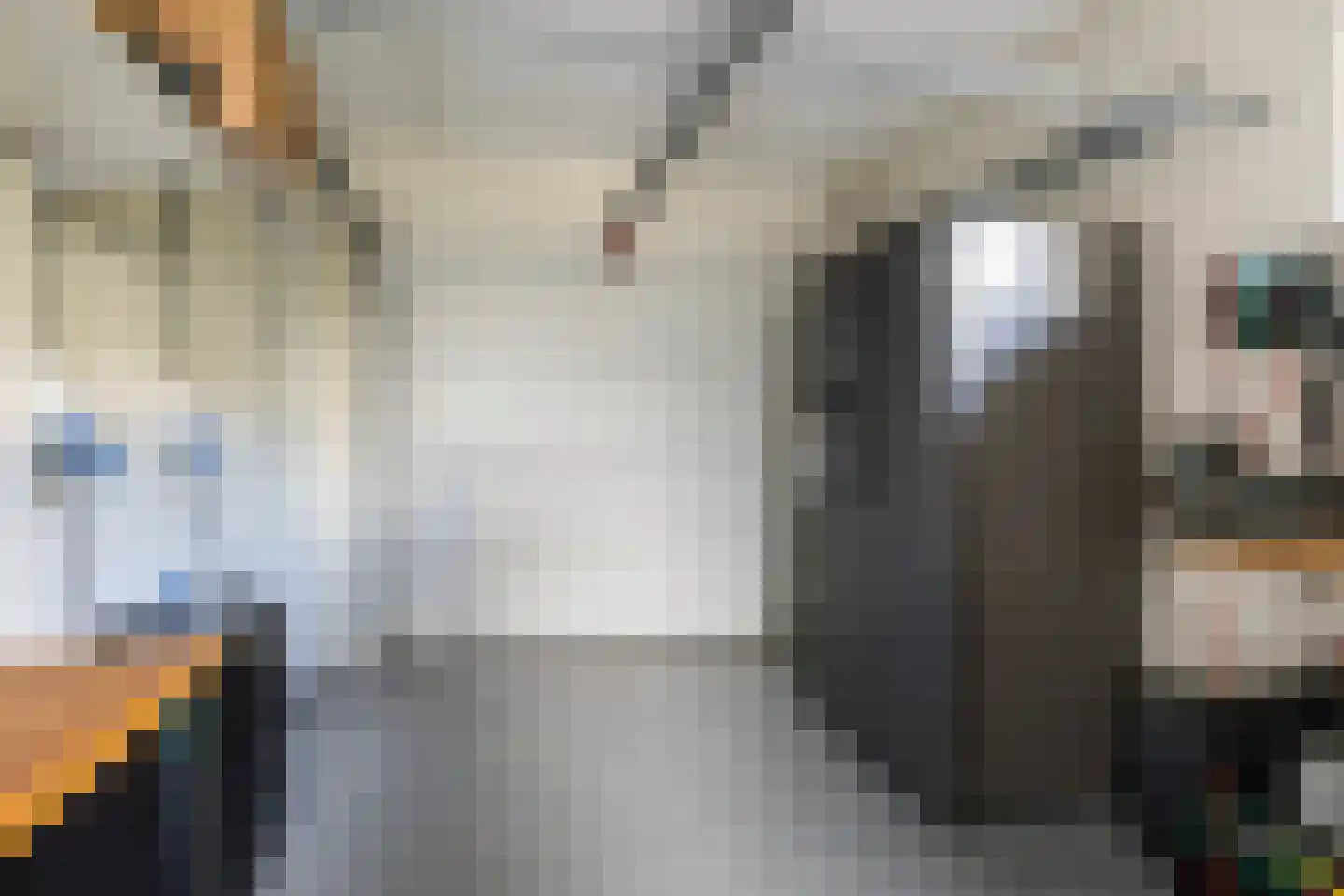 Hoofdweg 132 Burdaard thumbnail 43