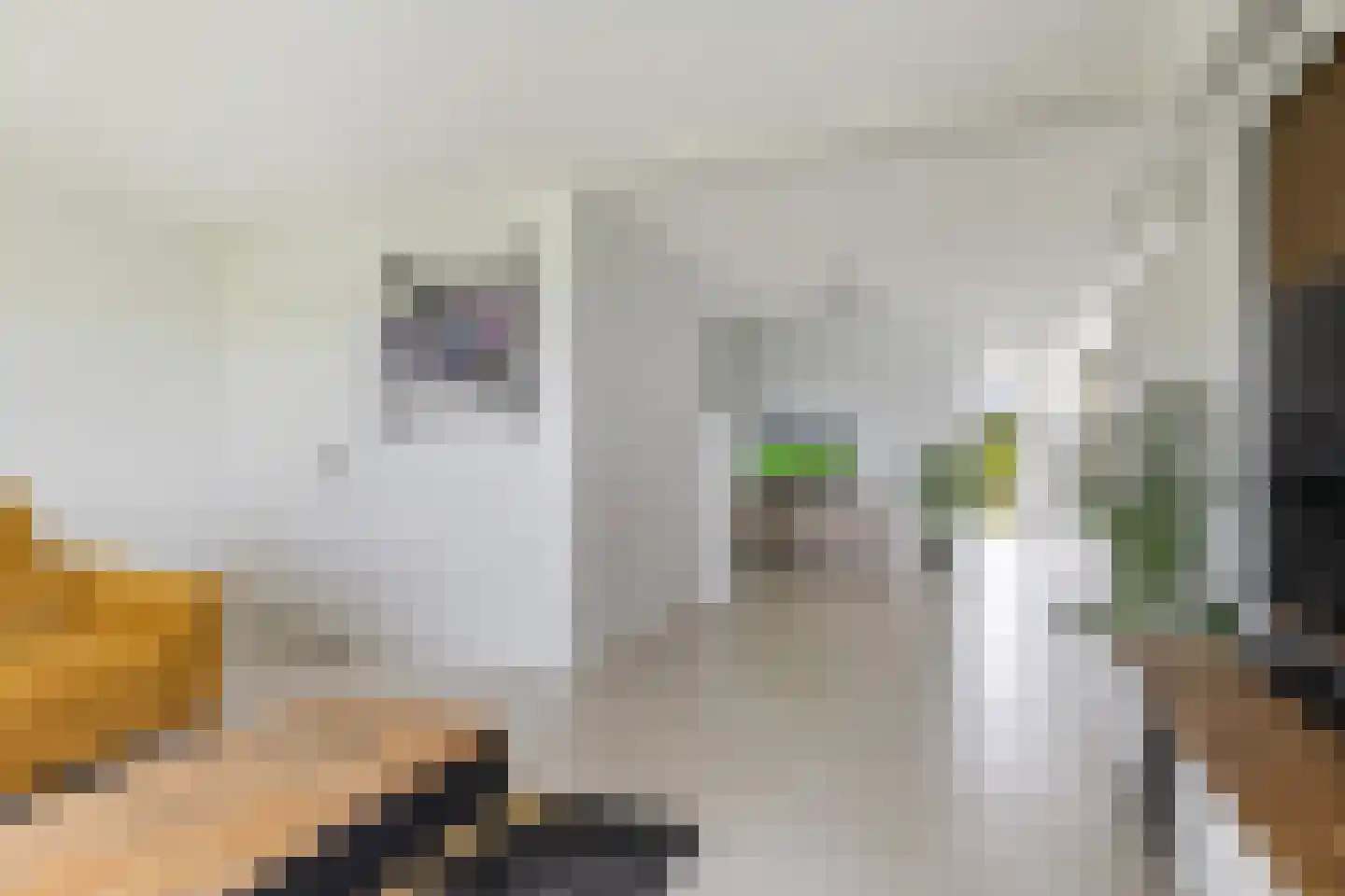 Hoofdweg 132 Burdaard thumbnail 9