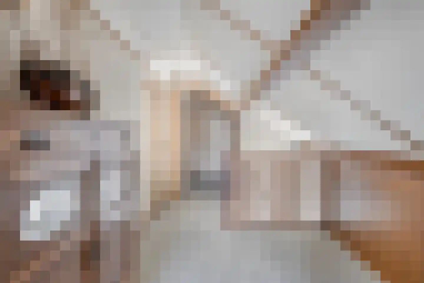 Hoofdweg 132 Kudelstaart thumbnail 37